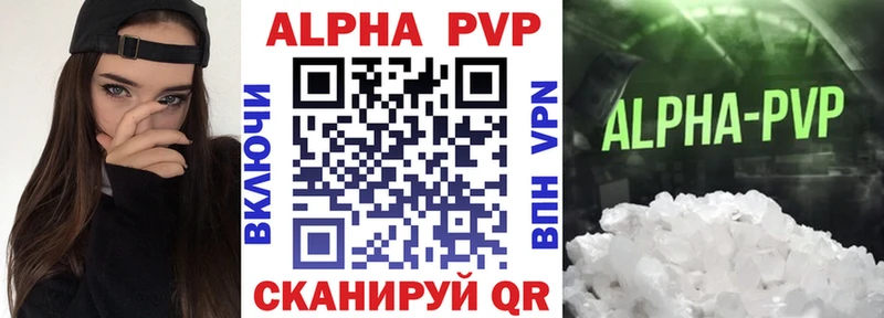 APVP СК  Курчалой 