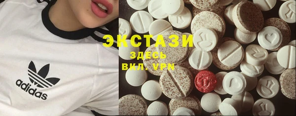 молекула духа Осташков