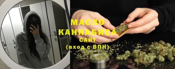 молекула духа Осташков