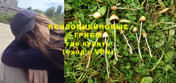 spice Беломорск