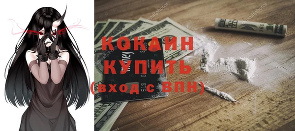 мдпв Осинники